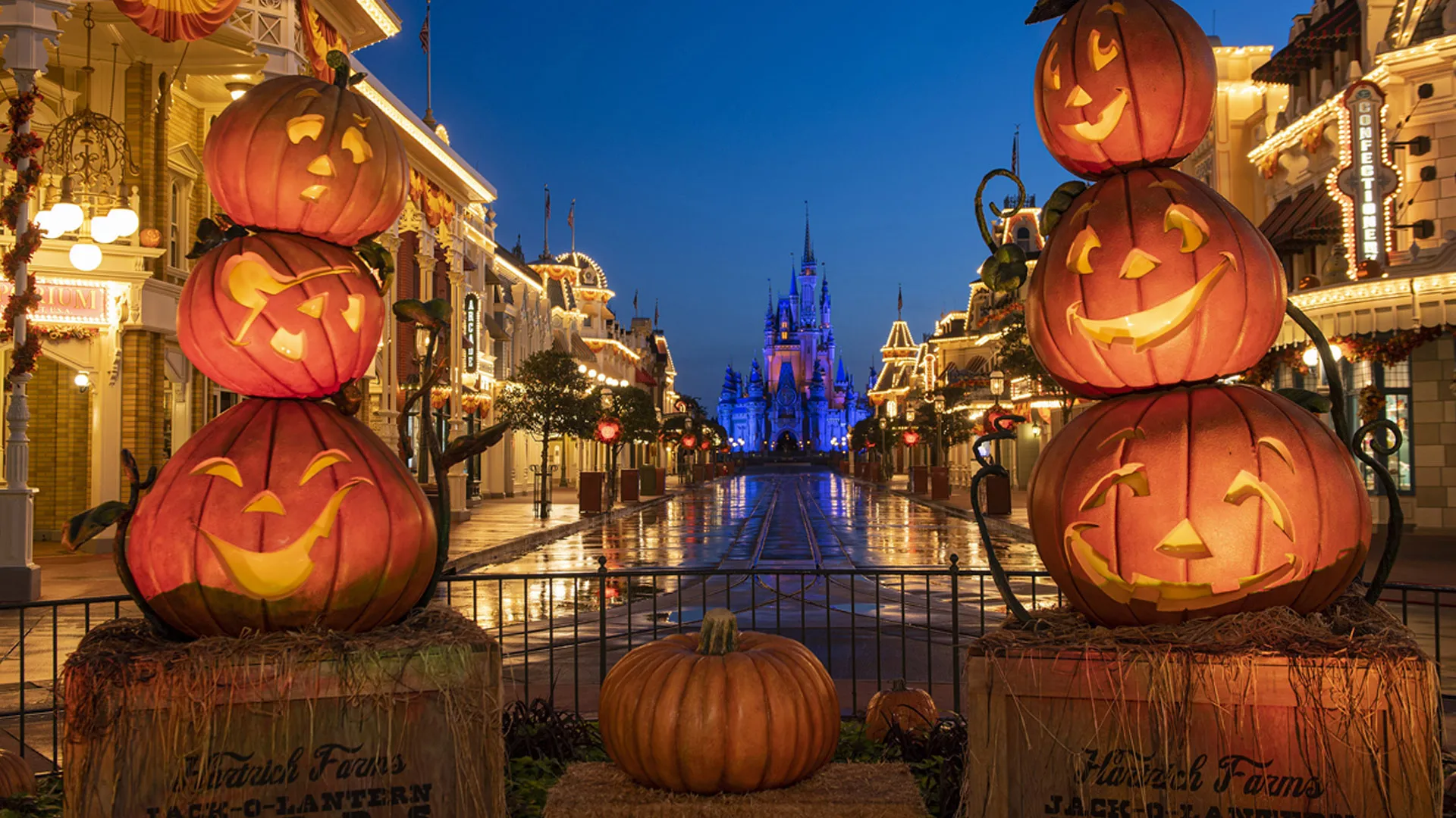 Mickey's Not So Scary Halloween Party Solagui Travels